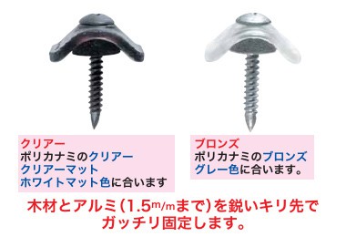 小波ポリカナミジメ　クリアー・ブロンズ