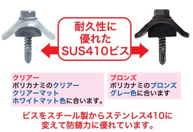 小波ポリカナミジメ