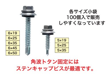 ステンキャップビス